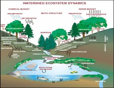 Watershed Modeling